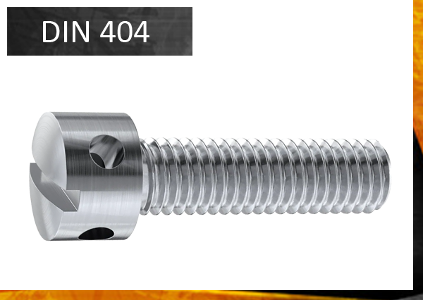 DIN404